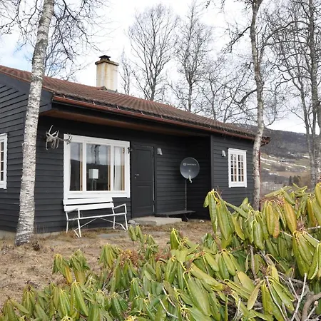 Svein's