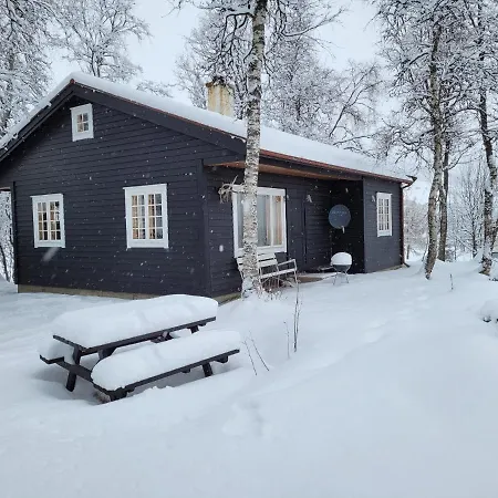 Svein's * Geilo