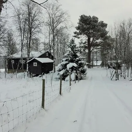 Svein's Alpesi faház