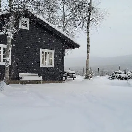 Svein's *